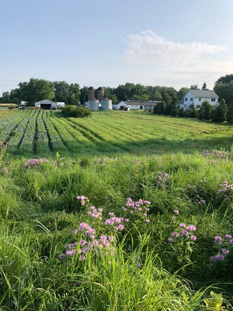 Tiny photo for 1571 Amos Bennett Street, Grayslake, IL 60030 (MLS # 12559026)