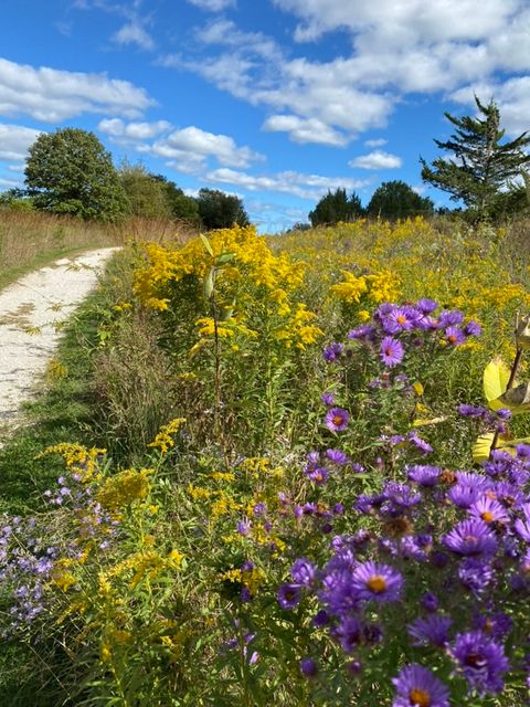 Tiny photo for 1571 Amos Bennett Street, Grayslake, IL 60030 (MLS # 12559026)