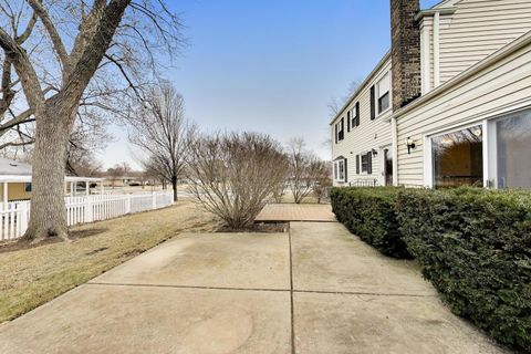 Tiny photo for 439 S Bothwell Street, Palatine, IL 60067 (MLS # 12581323)