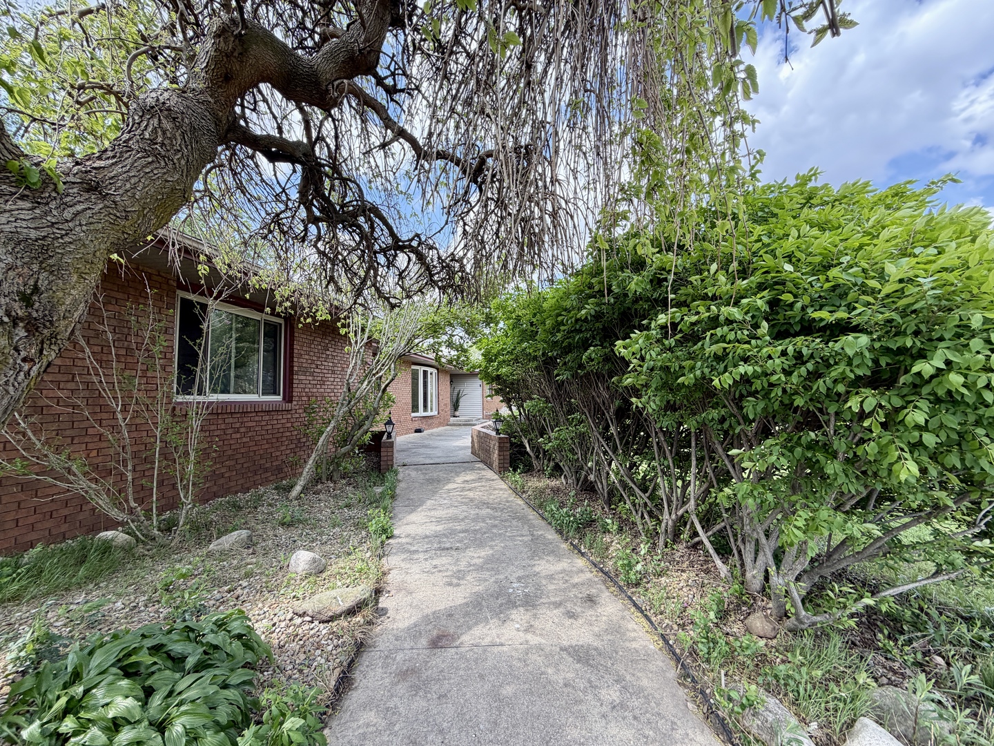 1597 County Road 3300