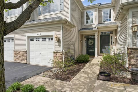 Photo of 482 Telluride Drive, Gilberts, IL 60136 (MLS # 12623437)