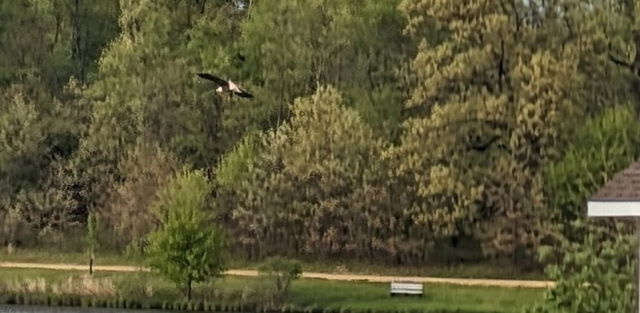 23-93 Woodhaven Lakes