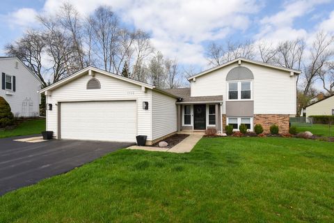 1112 N Old Bridge Road Palatine IL 60067