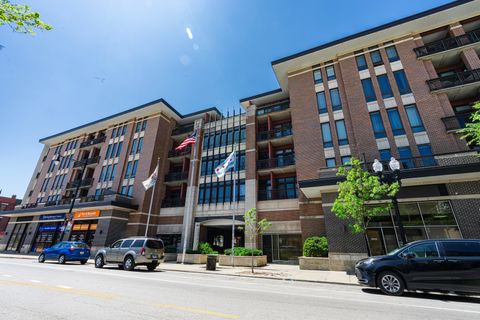 3450 S HALSTED Street 308 Chicago IL 60608