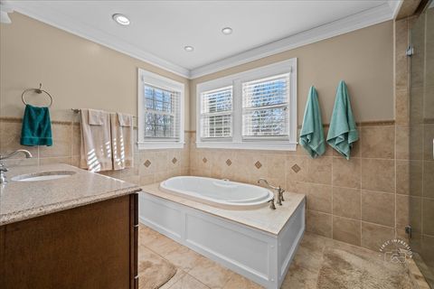 Tiny photo for 1612 Fox Bend Court, Naperville, IL 60563 (MLS # 12548478)