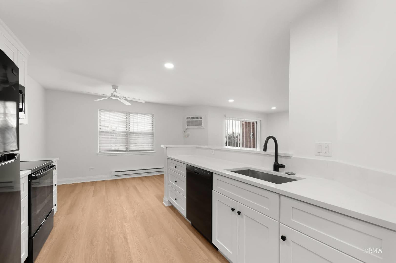 226 S Rush Street 3B
