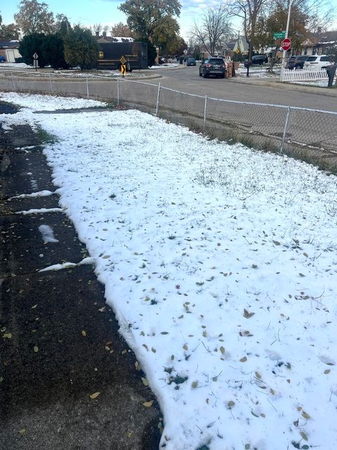 Tiny photo for 4601 W 82nd Street, Chicago, IL 60652 (MLS # 12479942)