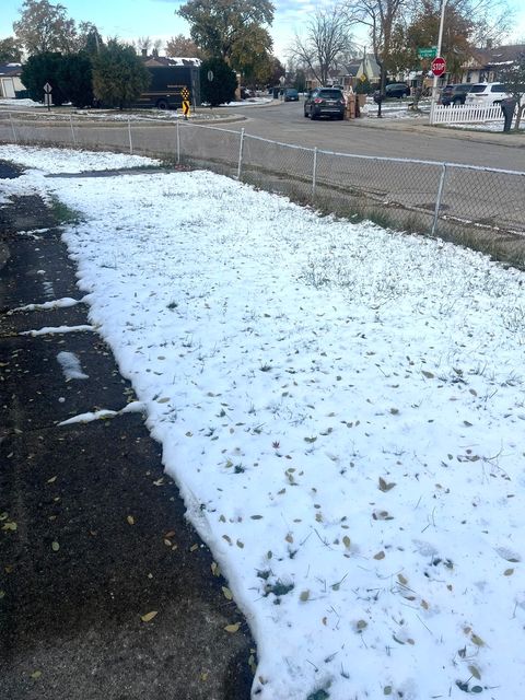 Tiny photo for 4601 W 82nd Street, Chicago, IL 60652 (MLS # 12479942)