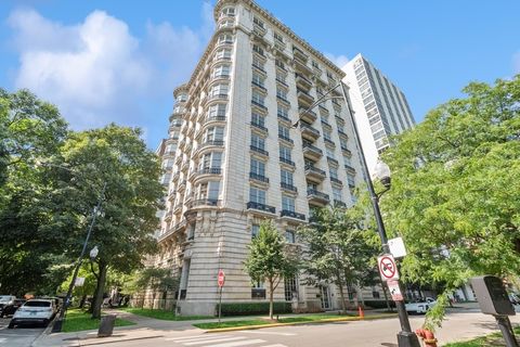 1544 N STATE Parkway A3 Chicago IL 60610