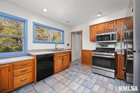 Tiny photo for 18378 WELLS FERRY Road, Bettendorf, IA 52722 (MLS # QC4268699)