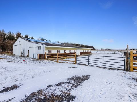 Tiny photo for 29153 S Klemme Road, Beecher, IL 60401 (MLS # 12622966)