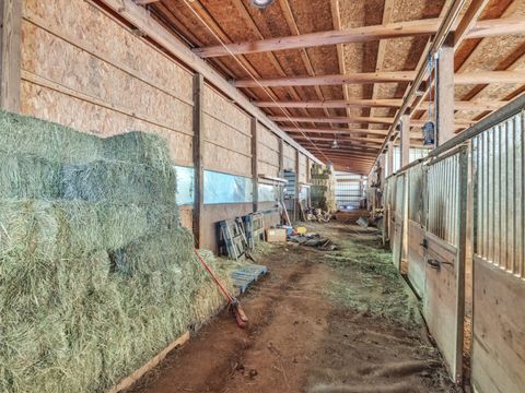 Tiny photo for 29153 S Klemme Road, Beecher, IL 60401 (MLS # 12622966)