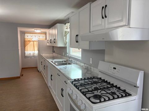 Tiny photo for 504 MULBERRY Street, Carterville, IL 62918 (MLS # EB459617)