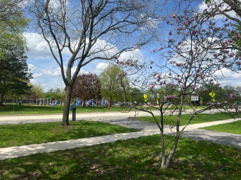 Tiny photo for 7113 Clarendon Hills Road, Darien, IL 60561 (MLS # 12666868)