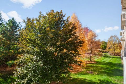 Tiny photo for Geneva, IL 60134 (MLS # 12535444)