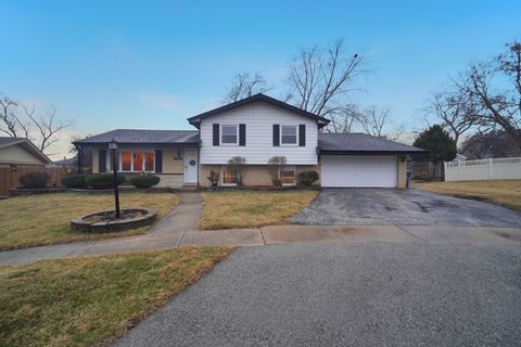 Photo of 10456 S Stowe Court, Palos Hills, IL 60465 (MLS # 12585176)