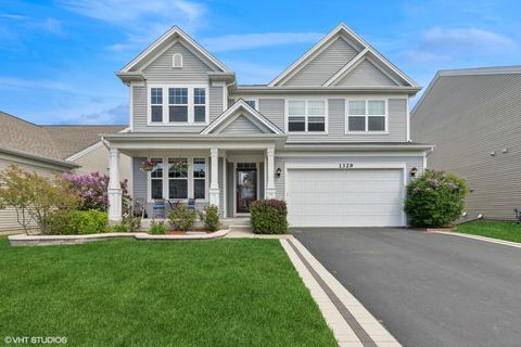 1329 W Courtland Street Mundelein IL 60060