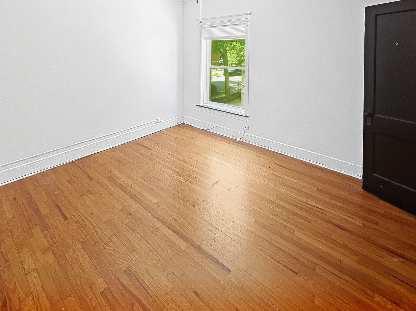 1308 W Rosemont Avenue 1