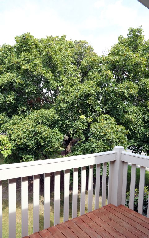 Tiny photo for 240 Southwick Court #240, Vernon Hills, IL 60061 (MLS # 12471041)