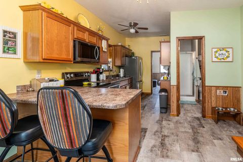 Tiny photo for 13414 S Egypt Shores Drive, Creal Springs, IL 62922 (MLS # EB459409)