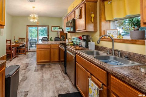 Tiny photo for 13414 S Egypt Shores Drive, Creal Springs, IL 62922 (MLS # EB459409)