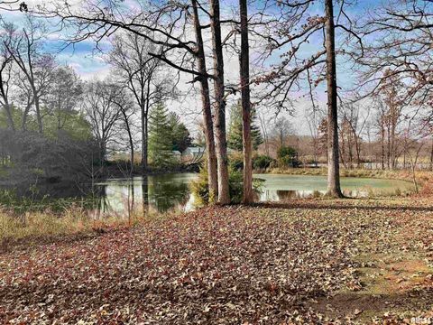 Tiny photo for 421 Jeff Road, Centralia, IL 62801 (MLS # EB460714)