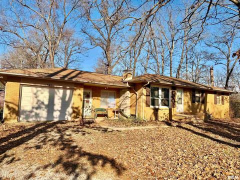 Photo of 421 Jeff Road, Centralia, IL 62801 (MLS # EB460714)