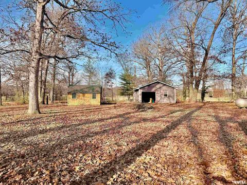 Tiny photo for 421 Jeff Road, Centralia, IL 62801 (MLS # EB460714)