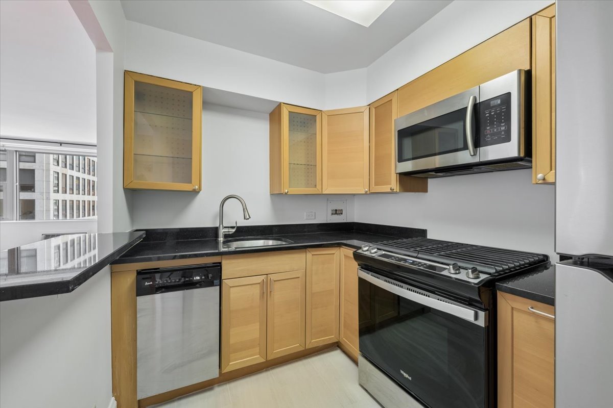 253 E DELAWARE Place 11F