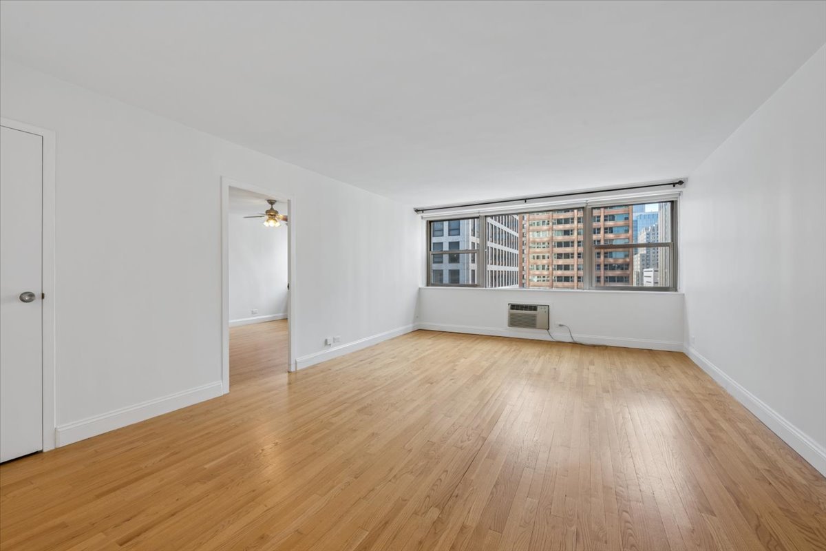 253 E DELAWARE Place 11F