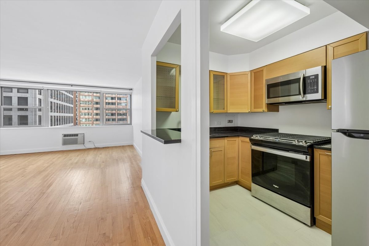 253 E DELAWARE Place 11F