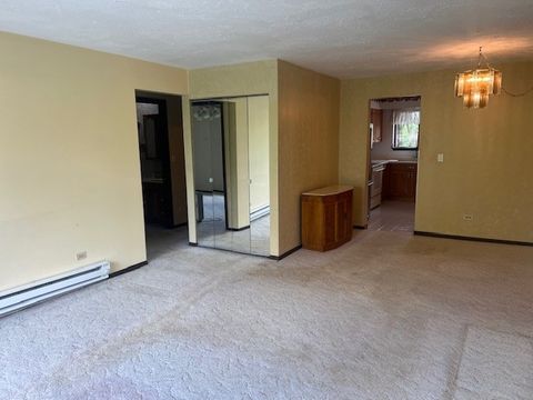 Tiny photo for 1010 Judson Street #2B, Bensenville, IL 60106 (MLS # 12487088)