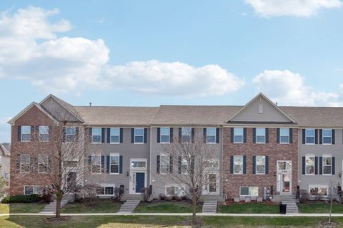 257 Lionel Drive Grayslake IL 60030