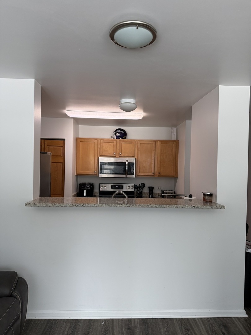 345 N La Salle Drive 1504