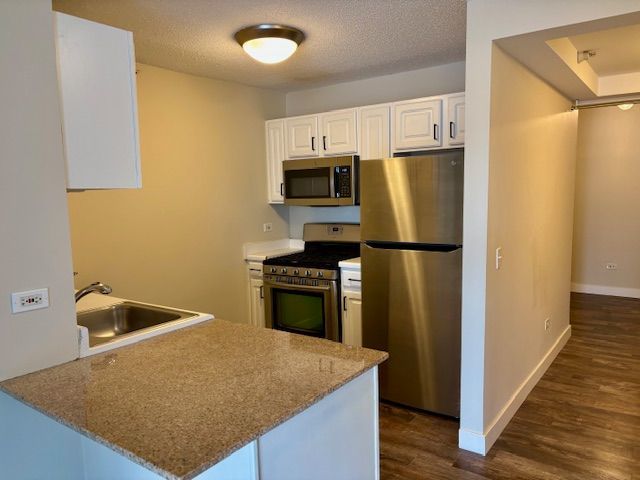 545 N Dearborn Street W2905