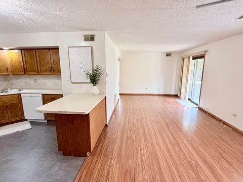 Tiny photo for 103 Caterpillar Drive #1C, Joliet, IL 60436 (MLS # 12722347)