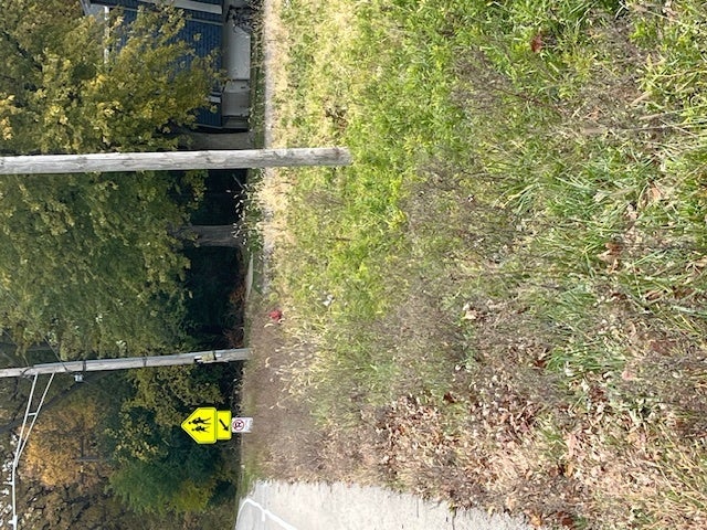 Lot 1 Reckinger Road
