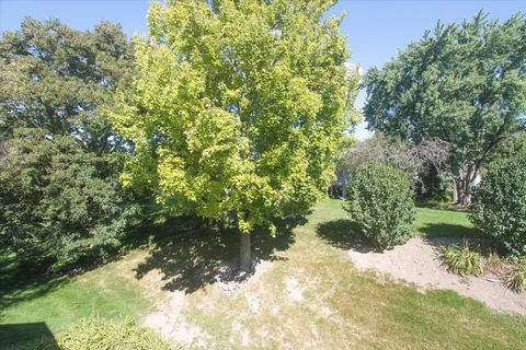 Tiny photo for 78A Foxwood Lane #M169, Lake Barrington, IL 60010 (MLS # 12462030)