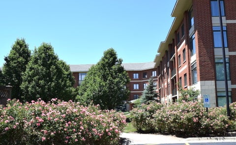 Tiny photo for 845 E 22nd Street #305, Lombard, IL 60148 (MLS # 12730391)