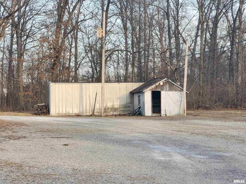 Tiny photo for 14625 E E IL Hwy 15 Highway, Mt Vernon, IL 62864 (MLS # EB457659)