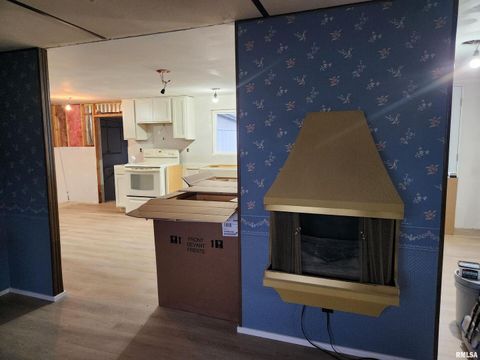 Tiny photo for 14625 E E IL Hwy 15 Highway, Mt Vernon, IL 62864 (MLS # EB457659)