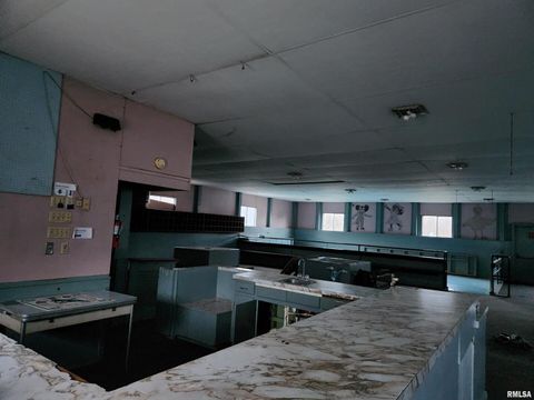 Tiny photo for 14625 E E IL Hwy 15 Highway, Mt Vernon, IL 62864 (MLS # EB457659)