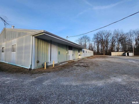Tiny photo for 14625 E E IL Hwy 15 Highway, Mt Vernon, IL 62864 (MLS # EB457659)