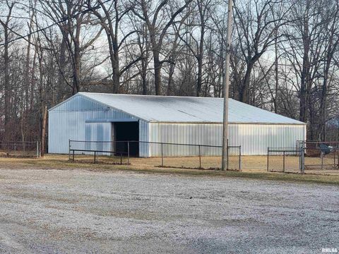 Tiny photo for 14625 E E IL Hwy 15 Highway, Mt Vernon, IL 62864 (MLS # EB457659)