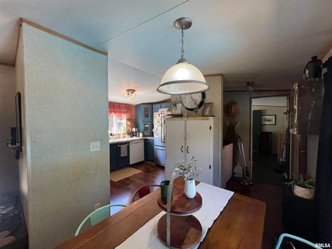 Tiny photo for 9549 Johns Lane, Marion, IL 62959 (MLS # EB459654)