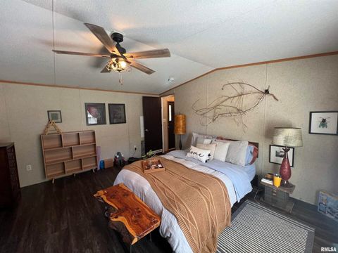 Tiny photo for 9549 Johns Lane, Marion, IL 62959 (MLS # EB459654)