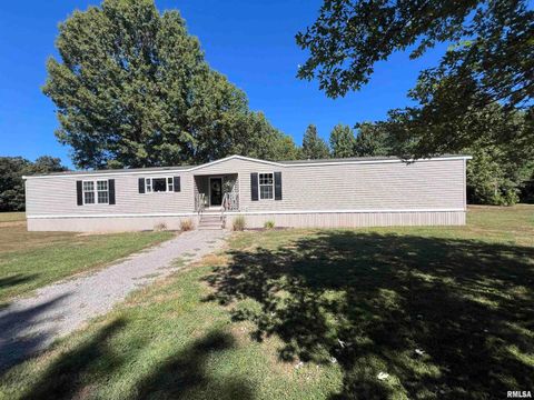 Tiny photo for 9549 Johns Lane, Marion, IL 62959 (MLS # EB459654)