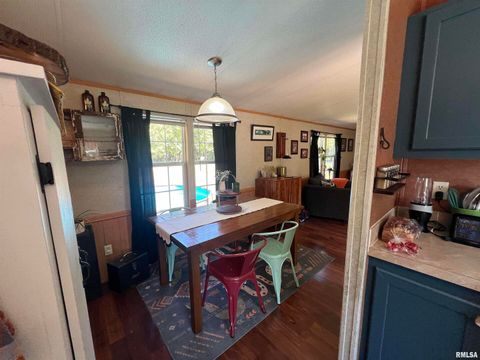 Tiny photo for 9549 Johns Lane, Marion, IL 62959 (MLS # EB459654)