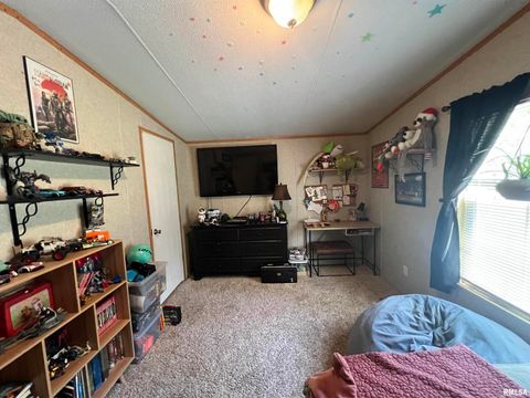 Tiny photo for 9549 Johns Lane, Marion, IL 62959 (MLS # EB459654)