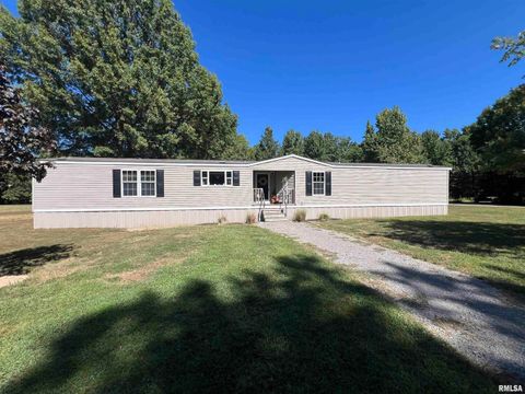 Photo of 9549 Johns Lane, Marion, IL 62959 (MLS # EB459654)
